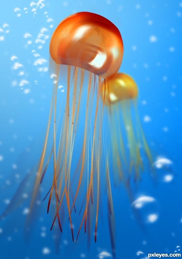 Creation of Jellyfish: Final Result